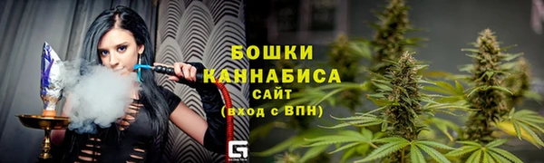 индика Белокуриха