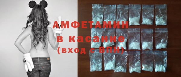 индика Белокуриха