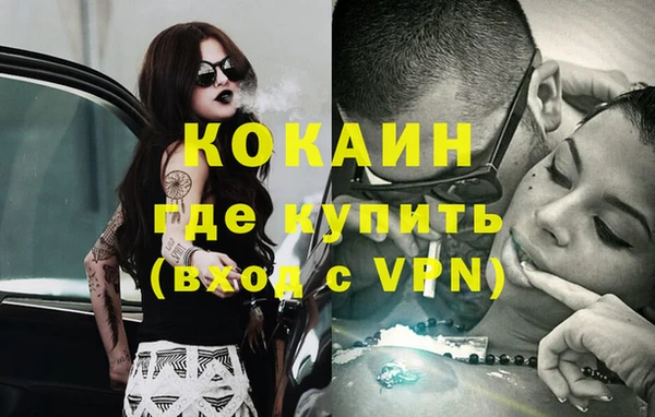 индика Белокуриха