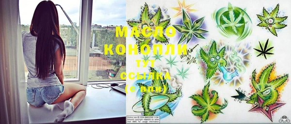 индика Белокуриха