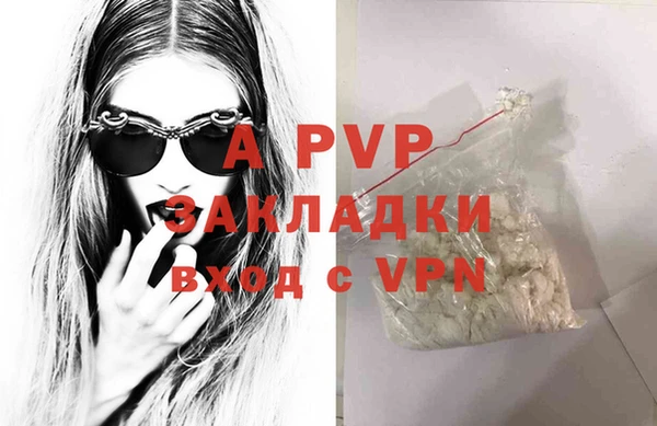 эйфоретик Беломорск
