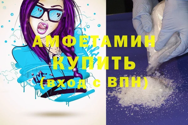 индика Белокуриха