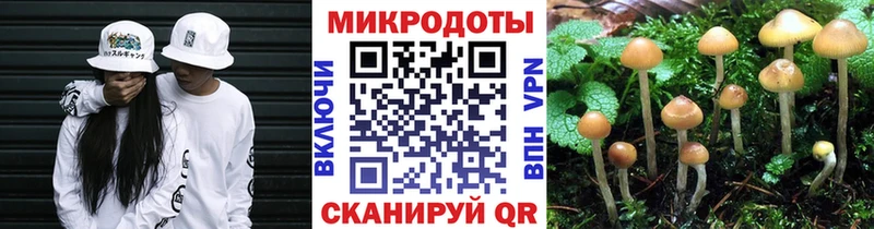 Псилоцибиновые грибы Psilocybe  ОМГ ОМГ ссылки  Юрга 